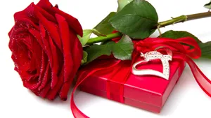 Red Roseand Gift Boxwith Ring4 K Wallpaper