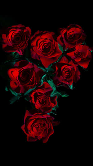 Red Roses Dark Background Wallpaper