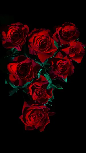 Red Roses Dark Background Wallpaper