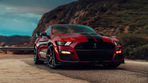 Red Shelby G T500 Mountain Road Wallpaper