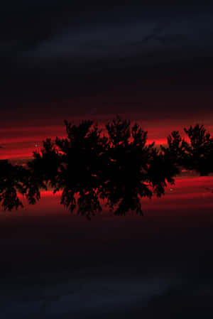 Red Sunset Igniting The Sky Wallpaper