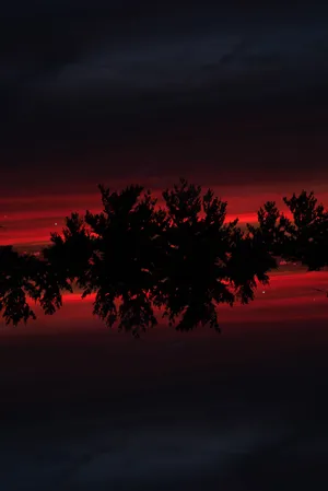 Red Sunset Igniting The Sky Wallpaper