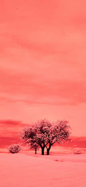 Red Tinted Landscapewith Trees Wallpaper