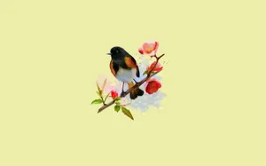 Redstart Birdon Flowering Branch Wallpaper