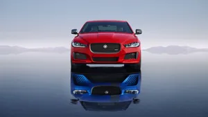 Reflection Of Style Wallpaper