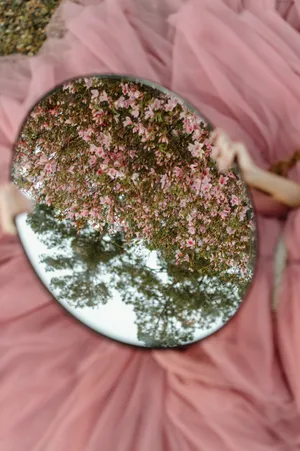 Reflection Plant Aesthetic Wallpaper