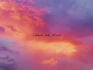 Reflective Sunset Embodying Solitude Wallpaper