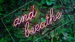 Refresh Your Desktop With A Green Aesthetic! Wallpaper