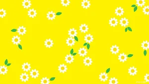 Refresh Your Screen With This Bold And Bright Yellow 2560 X 1440 Wallpaper Wallpaper
