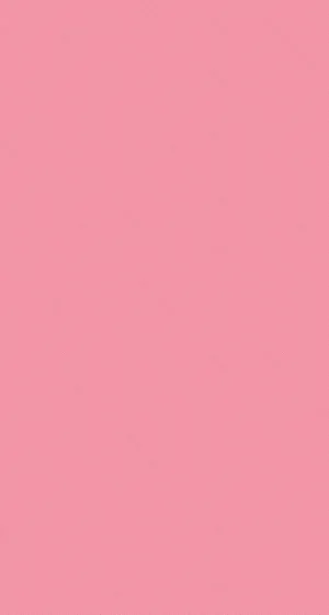 Refresh Your Space With Simple Pink Wallpaper