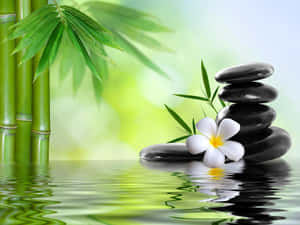 Refresh Yourself With A Luxurious Spa Treatment Wallpaper