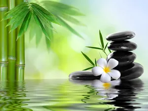 Refresh Yourself With A Luxurious Spa Treatment Wallpaper