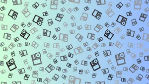 Refreshing Forest Nature Landscape Wallpaper