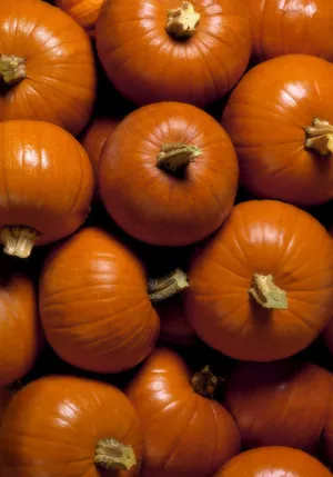 Refreshing Landscape Of Big Sur Wallpaper