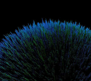 Refreshing Lemonade By The Beach Wallpaper