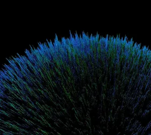 Refreshing Lemonade By The Beach Wallpaper