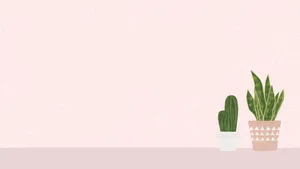 Refreshing Minimalist Plant Desktop Wallpaper