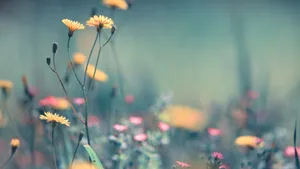 Refreshing Spring Pastel Blooms Wallpaper