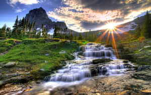 Refreshing Spring Water Flowing Through A Lush Green Forest Wallpaper