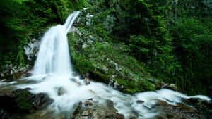 Refreshing Spring Water Flowing Through Nature Wallpaper