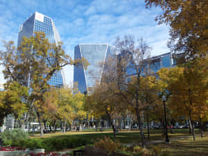 Regina Downtown Autumn Park View Wallpaper