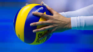 Related Keywords: Volleyball, Sports, Net, Action, Vibrant, Skills Wallpaper