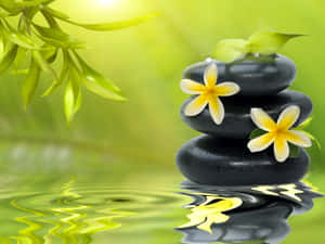 Relax And Renew With Spa Treatments Wallpaper