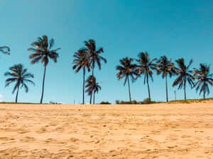 Relax And Unwind With A View Of The Beach Wallpaper