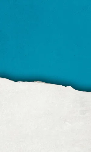 Relax In A Garden Of Fruits And Vegetables Wallpaper