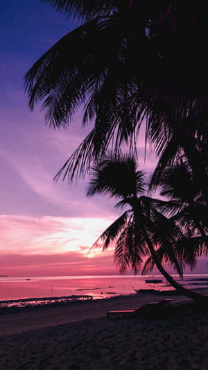 Relax On A Tropical Paradise Wallpaper