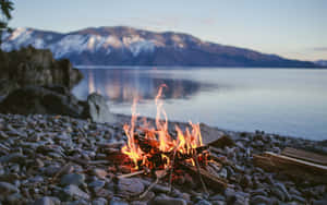 Relaxing Beach Bonfire Under The Starry Sky Wallpaper