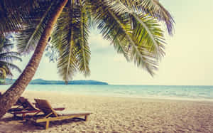 Relaxing Beach Sunbed Wallpaper