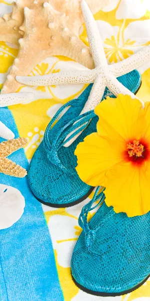 Relaxing Beach Sunset On The Costa Rican Coast Wallpaper