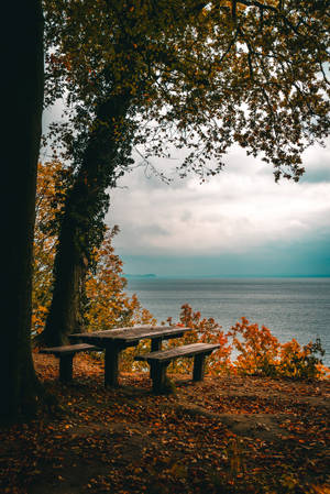 Relaxing Bench Spot Wallpaper