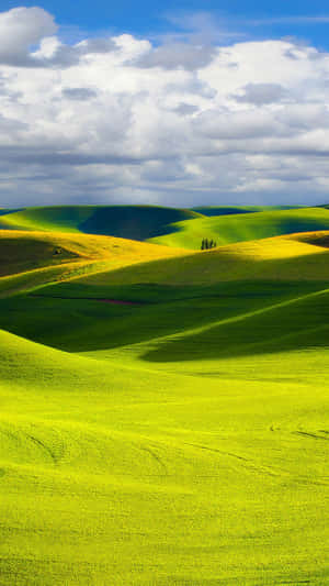 Relaxing Hills Image Wallpaper