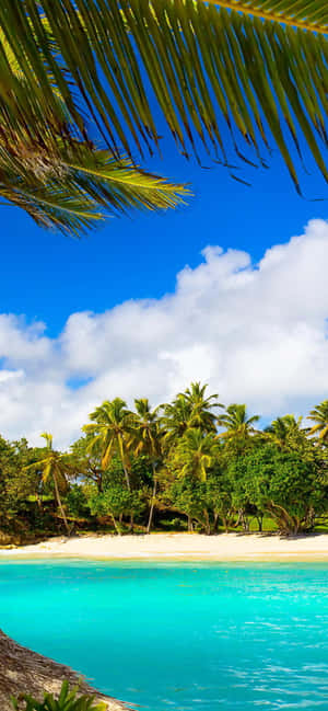 Relaxing On A Secluded Tropical Beach Wallpaper