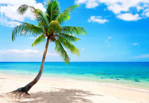 Relaxing Tropical Beach Holiday Wallpaper