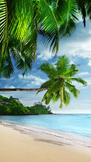 Relaxing Tropical Iphone Beach Paradise Wallpaper