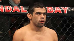 Renan Barão, Brazilian Mixed Martial Artist, Dominating The Octagon Ring Wallpaper