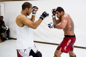 Renan Barão Sparring With José Aldo Wallpaper