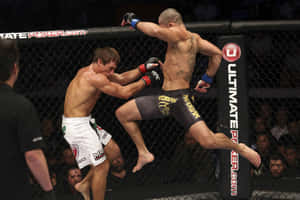 Renan Barão Ultimate Fighting Championship Match Wallpaper