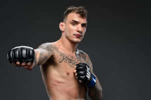 Renato Moicano Jab Pose Wallpaper