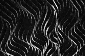 Repetitive Black Wavy [wallpaper] Wallpaper