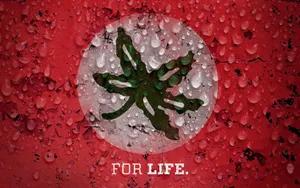 Represent The Cool Ohio State Spirit! Wallpaper