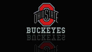 Representing Cool Buckeye Spirit! Wallpaper