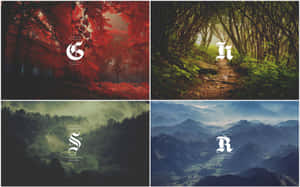 Representing The 4 Houses Of Hogwarts Wallpaper