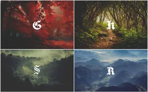 Representing The 4 Houses Of Hogwarts Wallpaper
