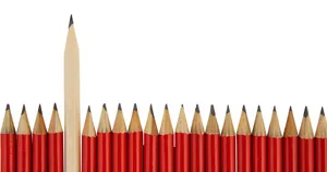 Representing The Beauty Of Nature Wallpaper