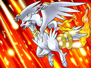 Reshiram Flies Through Fire Wallpaper