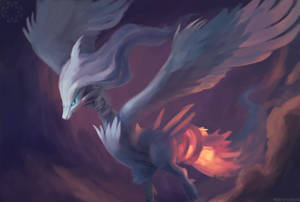 Reshiram Flies Through The Sky Wallpaper